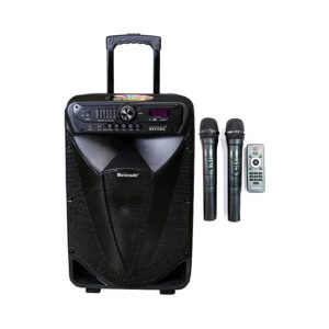 Prenosni zvučnik MR-301 Bluetooth, Wi-Fi, LED efekti